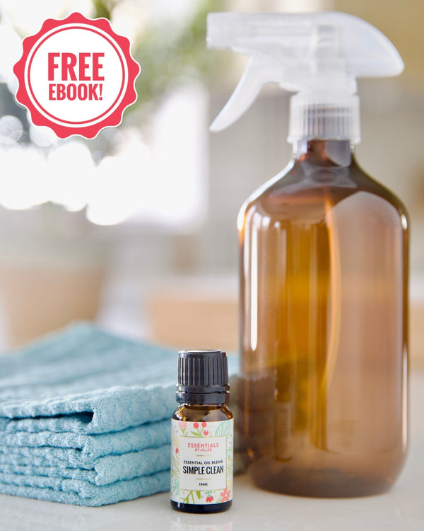 Cleaning Kit - By Jillee Shop